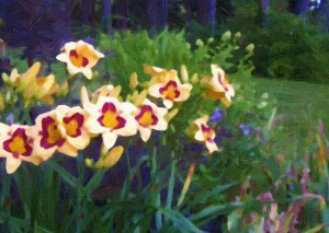 After-AKVIS-Oil-Painting-Day-Lillies
