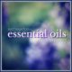 InstaNatural Essential Oils Review: Lavender & Peppermint