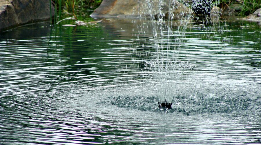 Fountain My Crazy Pond Project pond maintenance