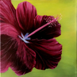 Hibiscus Flower Canvas Art for Sale Acrylic Painting