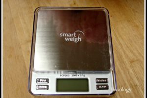 Smart Weight Pro Pocket Scale in Plastic Case