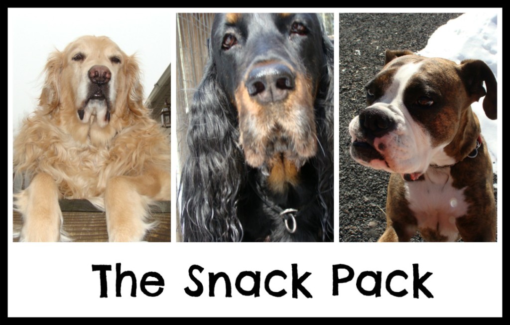 The Snack Pack ft. Butters, River & Jelly
