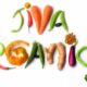 Satisfy Your Sweet Tooth with Jiva Organics Mishri Rock Candy Review